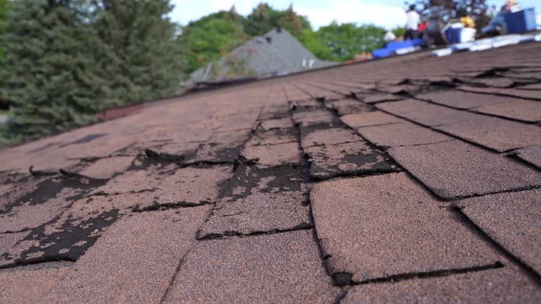 Best Rubber Roofing (EPDM, TPO)  in Colonial Rk, PA